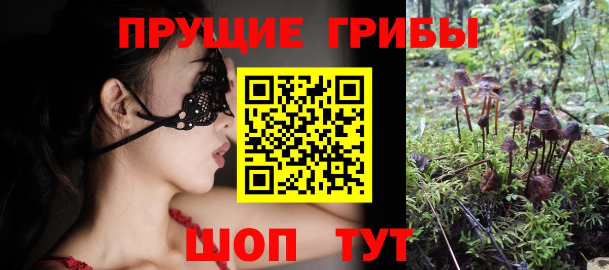 Псилоцибиновые грибы мицелий  Вход с VPN  Ковров  Галлюциногенные грибы GOLDEN TEACHER 