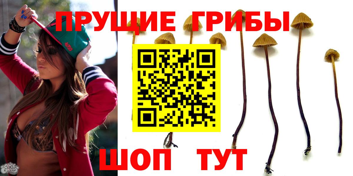 Псилоцибиновые грибы MAGIC MUSHROOMS Ковров